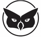 Best PPC Agency Near You Guardian Owl Digital