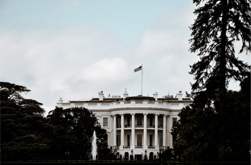 white house behind greenery and a cloudy sky ai government regulations