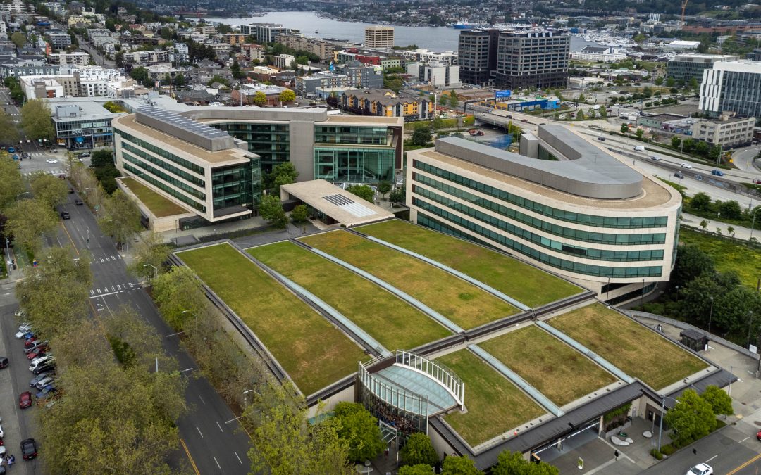 gates foundation from above