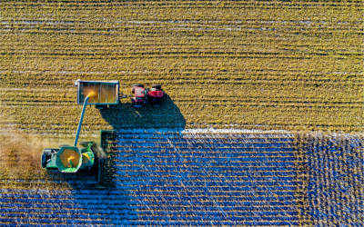 AI In Agriculture: Farmers Everywhere Are Benefitting from Implementing AI Into Their Operations in 2023