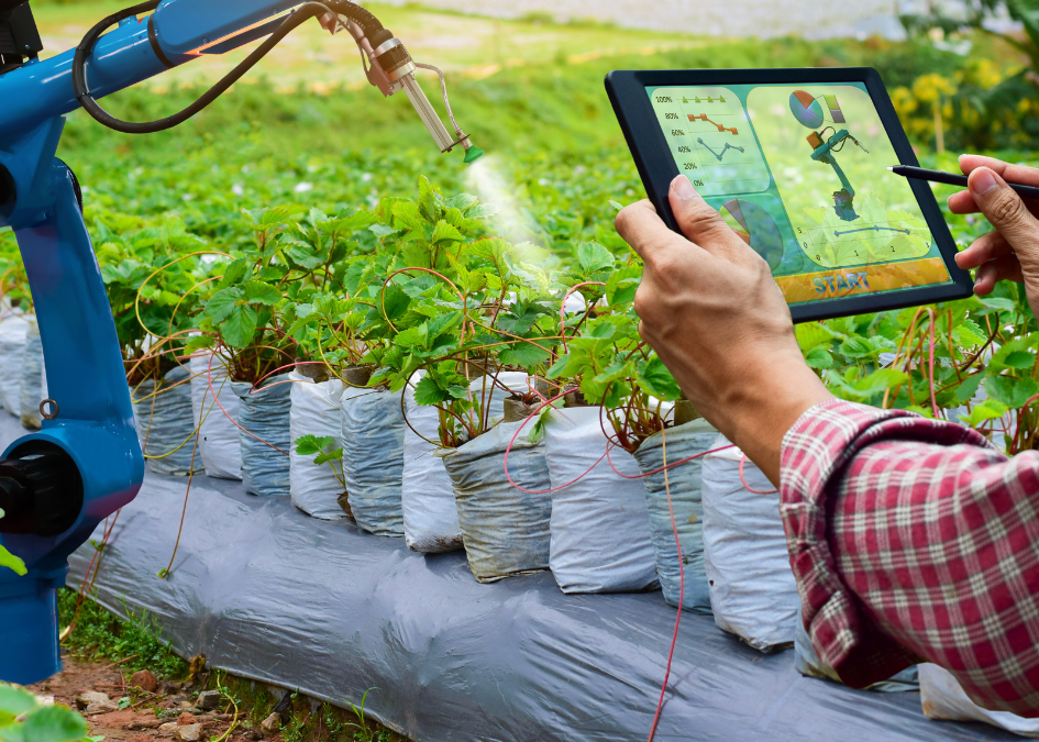 A.I. in Agriculture: Monitoring Animals in Real Time.