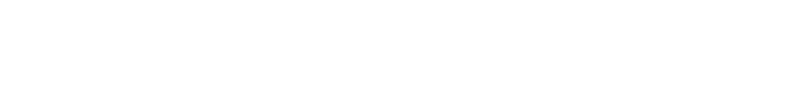 Guardian Owl Logo in white with owl logomark